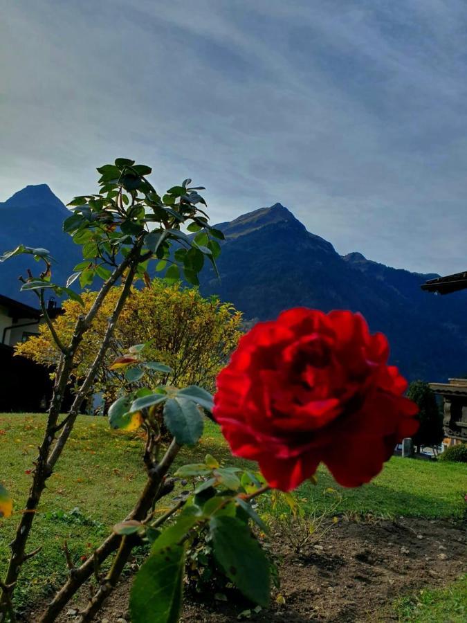 Loretz Liane Sankt Gallenkirch Luaran gambar