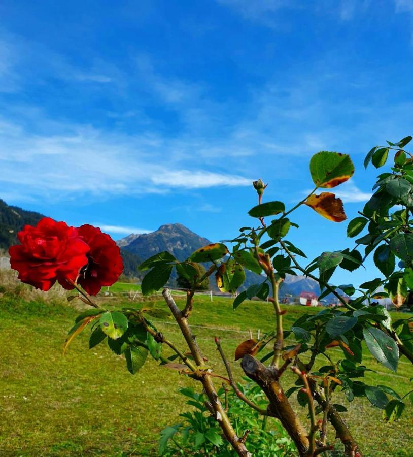 Loretz Liane Sankt Gallenkirch Luaran gambar
